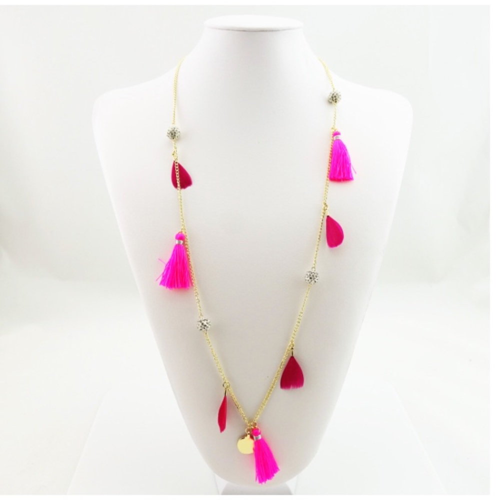 LAST Feather/Tassel Necklace